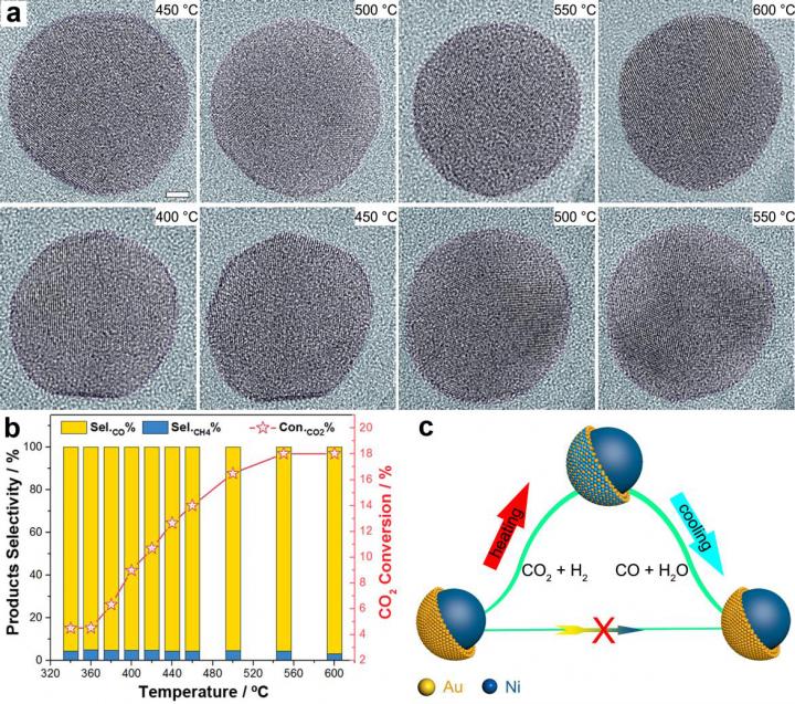 In Situ Demonstration of the Reaction-Driven Evolution of the Ni-Au Catalyst in CO2 Hydrogenation