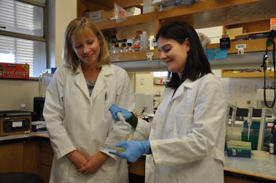 Iryna Ethell and Crystal Pontrello, University of California - Riverside