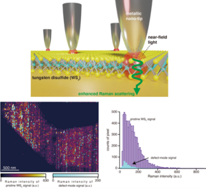 Figure 1. Long-duration tip-enhanced Raman imaging for defect analysis of large-sized WS2 layers.