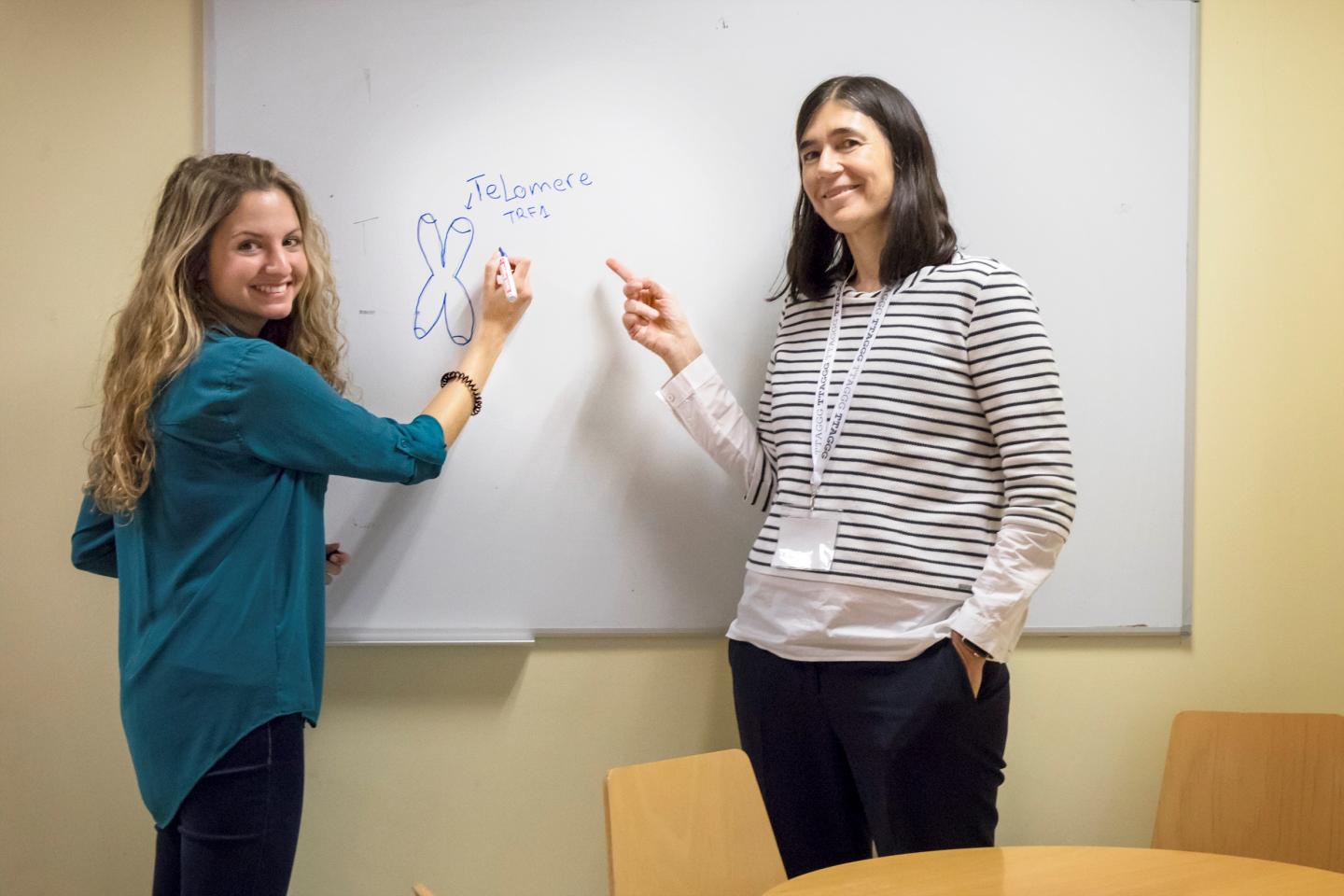 Leire Bejarano (left) and Maria A. Blasco, Centro Nacional de Investigaciones Oncológicas (CNIO) 