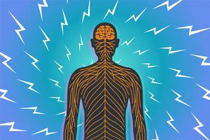 Researchers uncover potential non-opioid trea - Vimarsana News