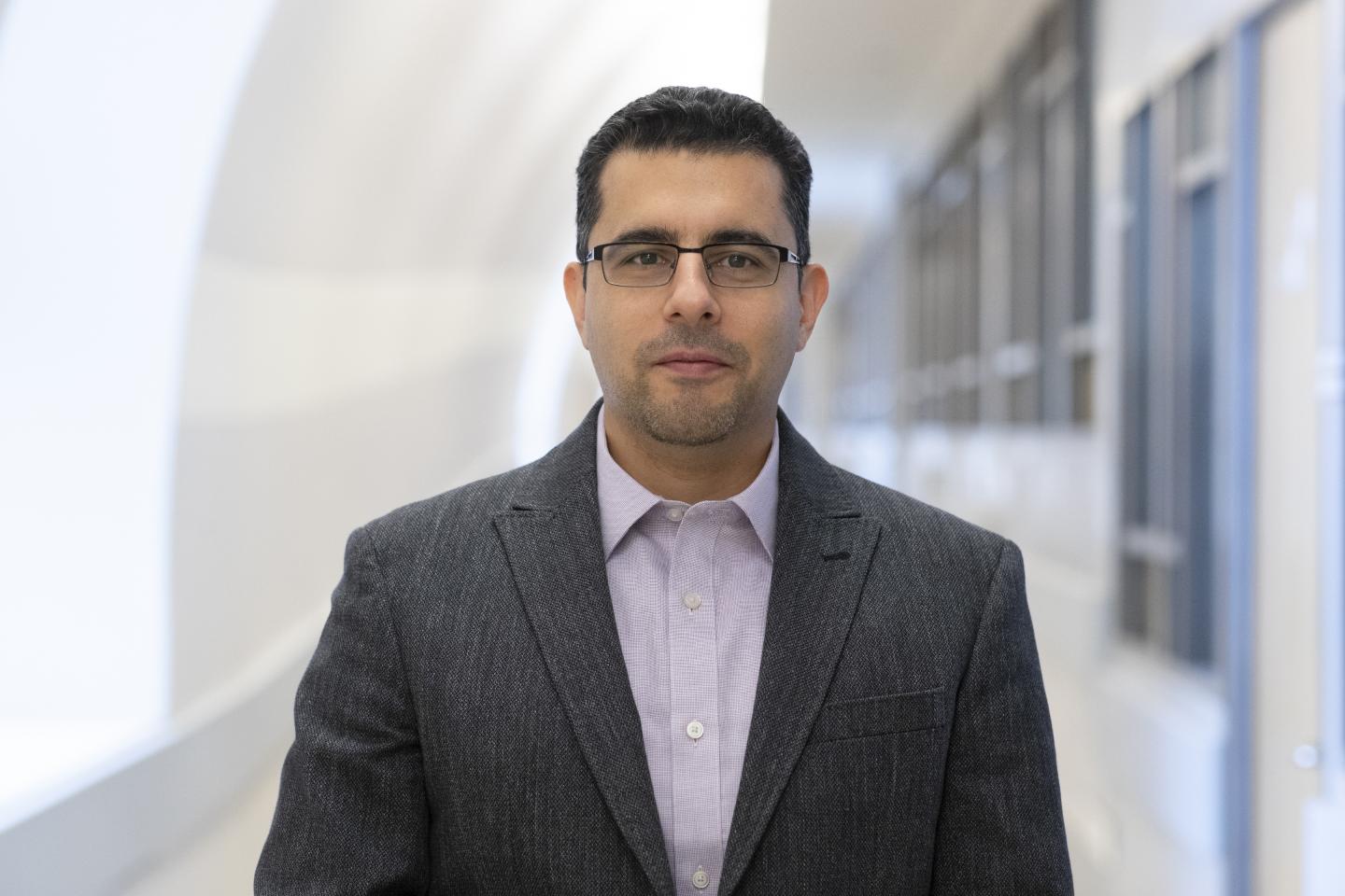 Study Reveals How Green Space Can Reduce Violent Crime