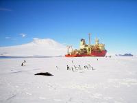 New Undersea Images Challenge Prevailing Ideas About the Antarctic Ice Sheet