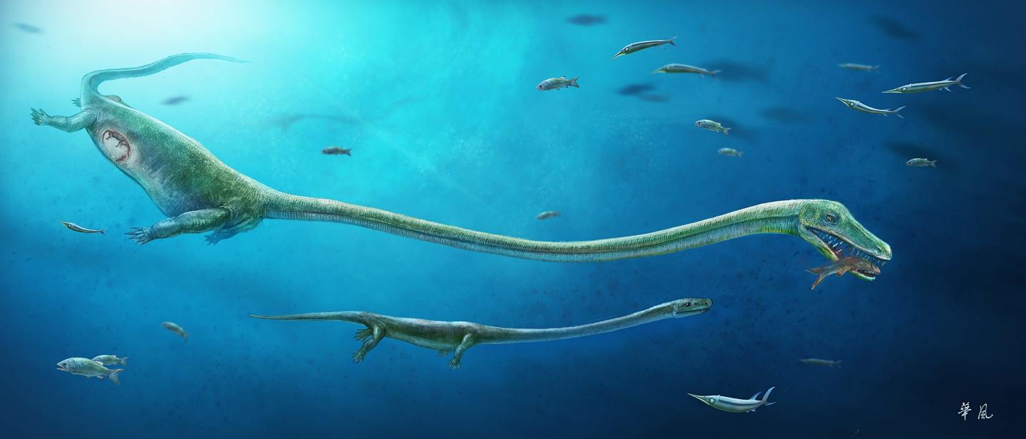 Ancient fossil reveals first evidence of live | EurekAlert!