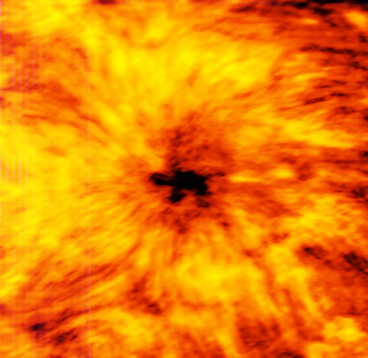 ALMA Observes a Giant Sunspot (1.25 Millimeters)