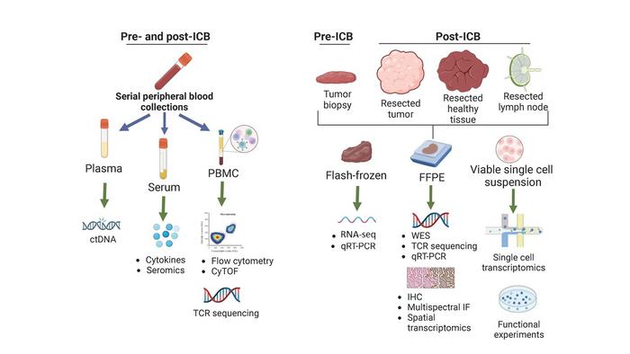 review article immunotherapy