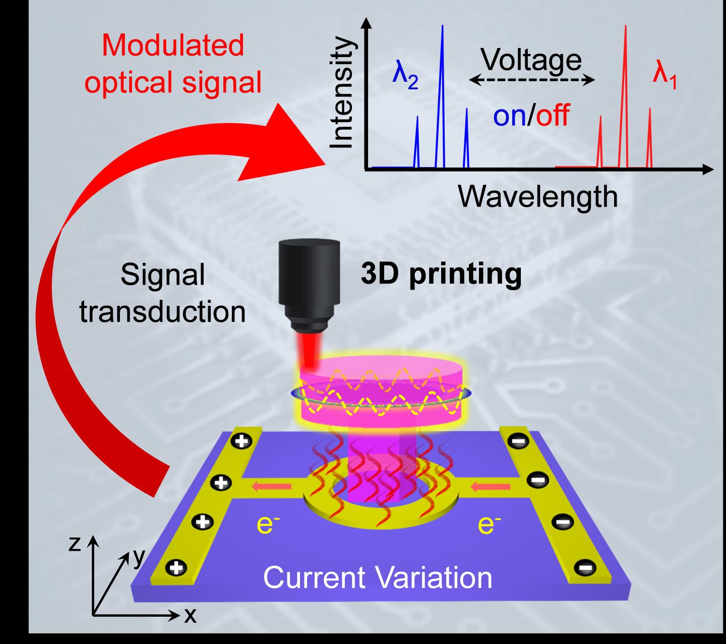 Schematic Illustration