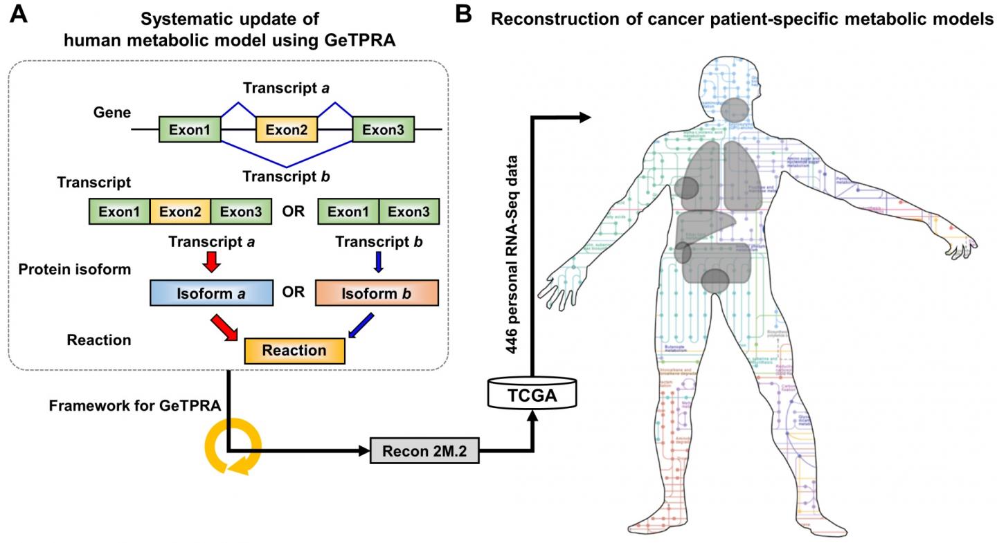 Figure Scheme of Recon 2M.2