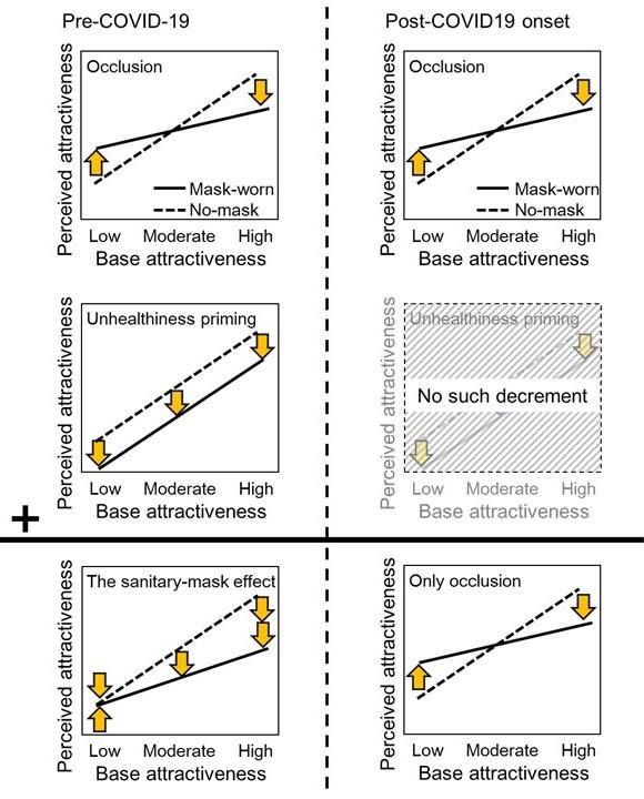 The hypothesized change in the sanitary-mask model due to COVID-19