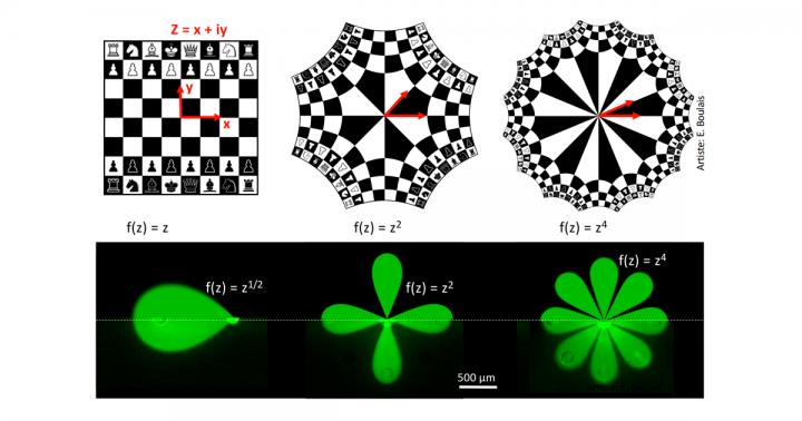 Illustration of the Mathematical Transforms Used