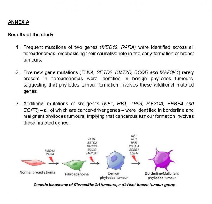 Annex A -- Results of Study