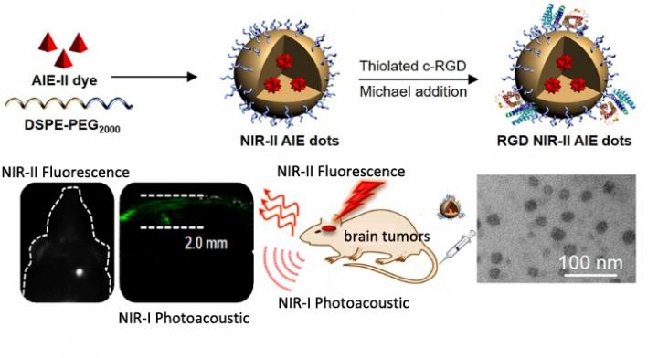 NIR-II Fluorescent Molecule with Aggregation-Induced-Emission (Aie) used for Orthotopic Brain-Tumor 