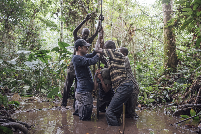 Congo Peatlands study