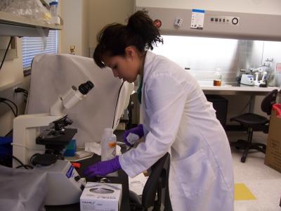 Margarita Hernandez, University of Texas at San Antonio