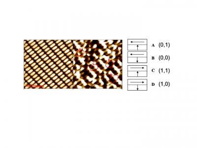 Microscopy Images of 2-bit-per-dot Patterned Media