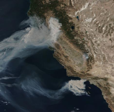Wildfire smoke plumes over California