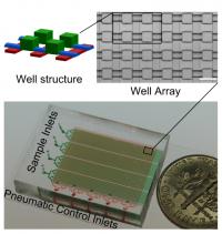 Microfluidic Device