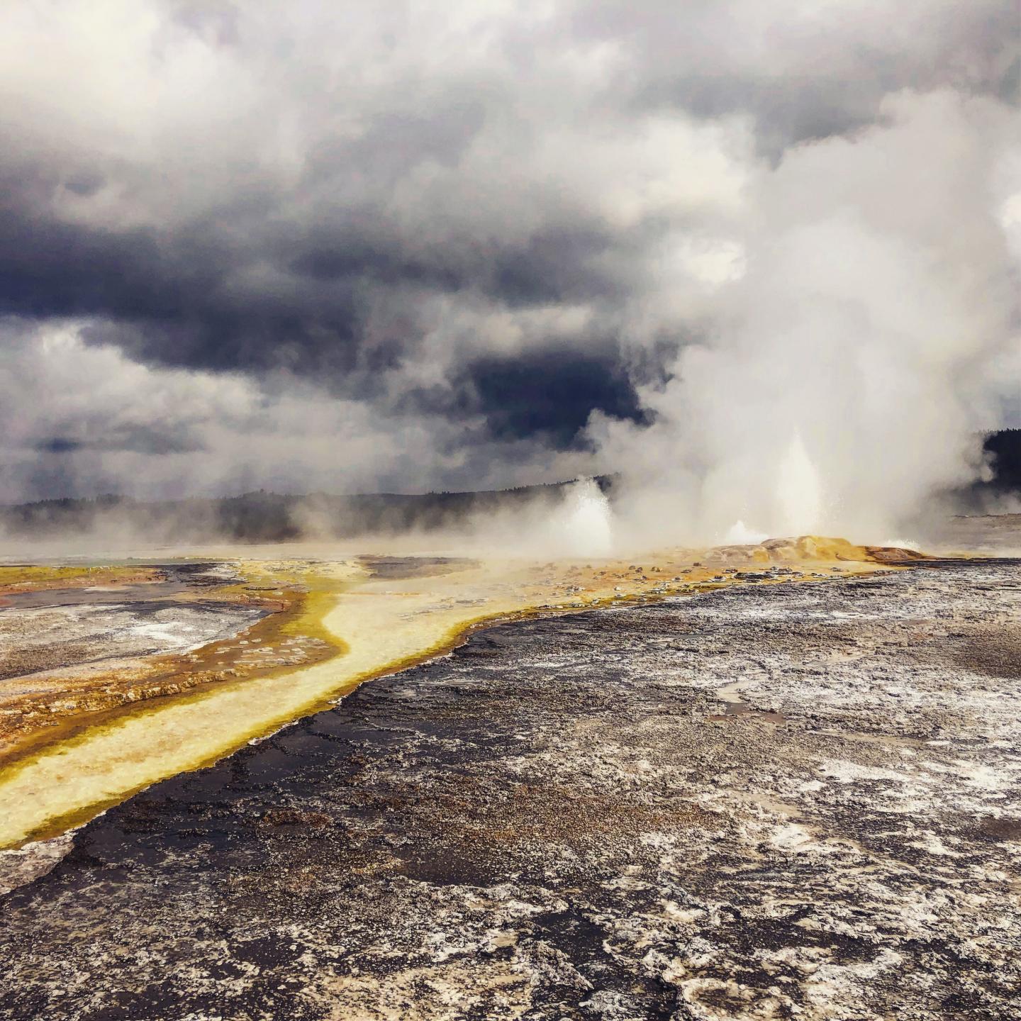 Geysers in Yellowstone National Park