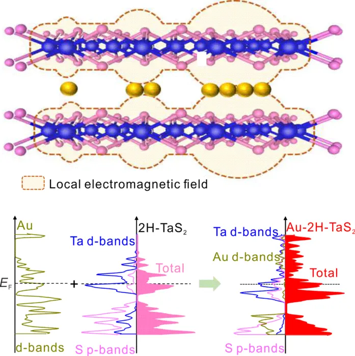 High-Performance SERS Substrate Proposed Based on 2H-TaS2 and Single-Atom-Layer Gold Clusters