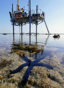 Drill system for research on the reef (web only - lo res)