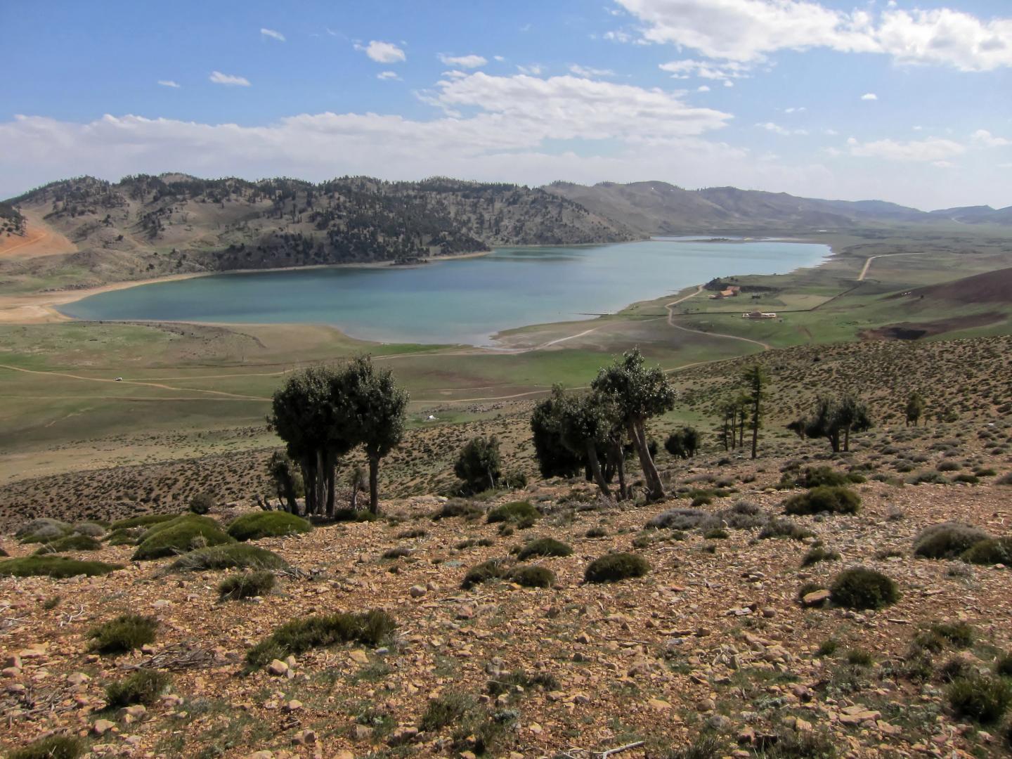 Lake Sidi Ali 1