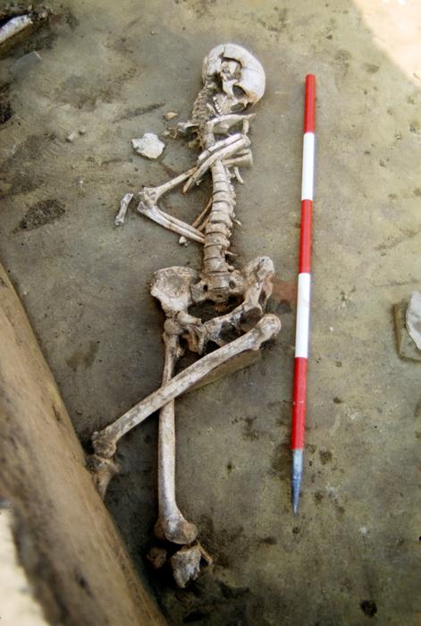 Skeletons from the Asparn-Schletz Massacre