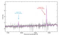 Observed Spectra