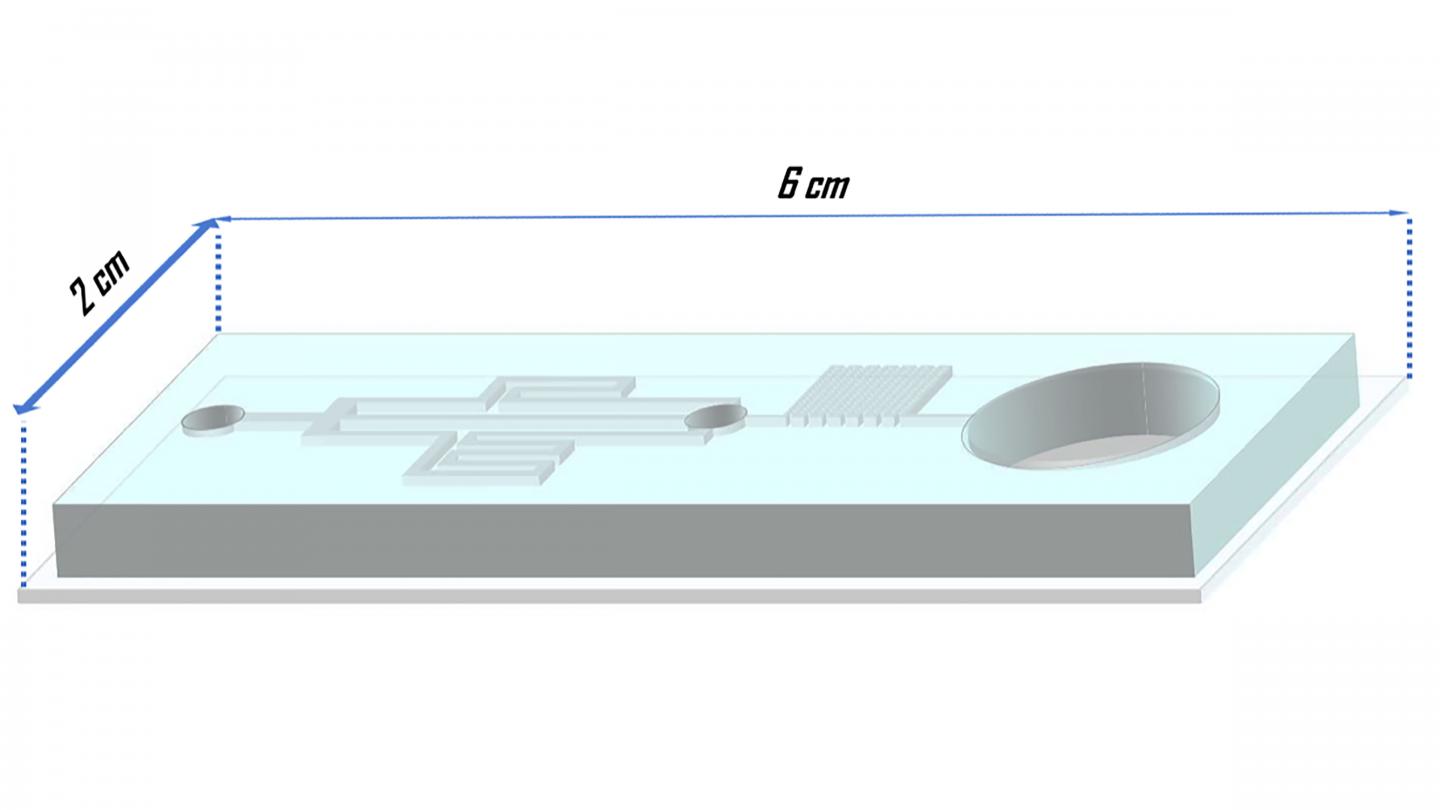 Schematic of microfluidic platform for gradual cryoprotectant loading in the embryo vitrification process