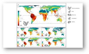 Species-richness patterns and latitudinal diversity gradient of terrestrial tetrapods.