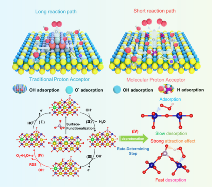 Comparison between the reaction mechanisms of a hybrid system with a conventional heterostructure, and the single-phase system with molecular-level proton acceptors developed by the researchers.