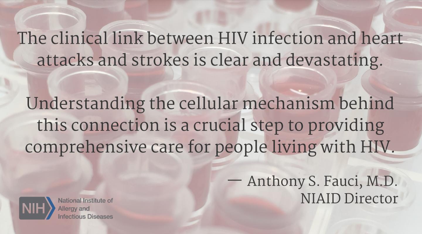 Quote by Anthony S. Fauci, M.D., NIAID Director