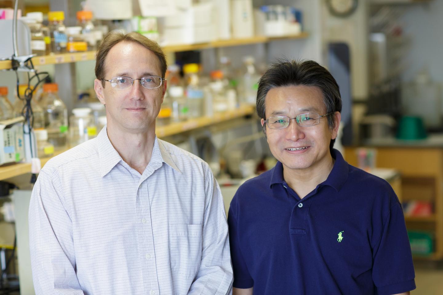 Brian K. Law, Ph.D., and Jianrong Lu, Ph.D., University of Florida 