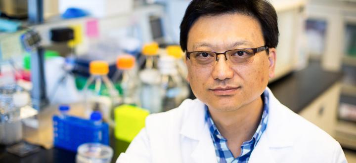 Young-Hwan Jo, Albert Einstein College of Medicine