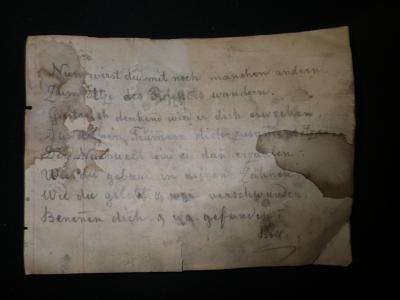 Jacob Boll Ode to Eryops