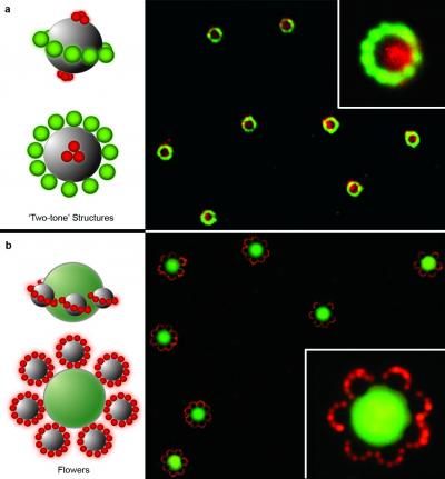 Saturn/Flowers New Nano-Structures