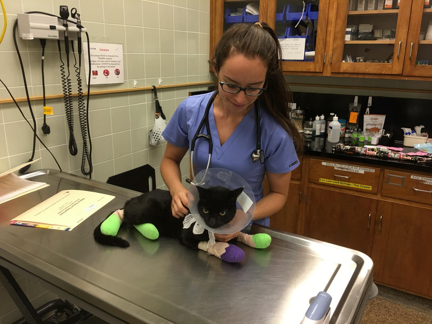 Photo of Veterinarian and Cat