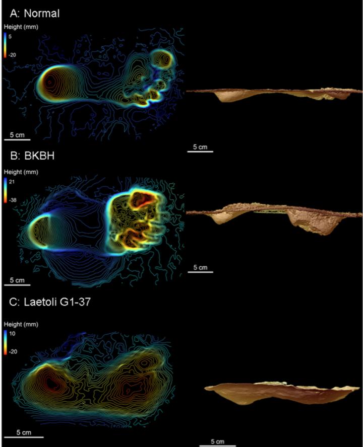 Evidence that Human-like Walking Mechanics Evolved Before the Genus <em>Homo</em>