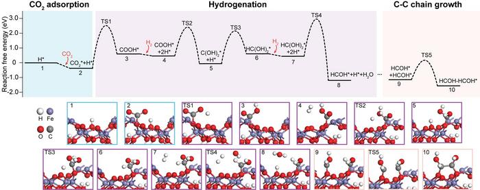 The reaction pathways of CO₂ hydrogenation and C-C chain growth on the (001) surface of goethite