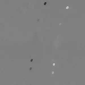 Movie of the telescope imager as it focused on Uranus