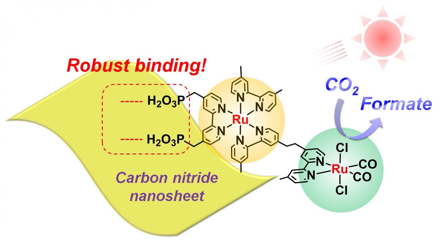 Schematic of Solar Fuel Production by Semiconductor Photocatalyst