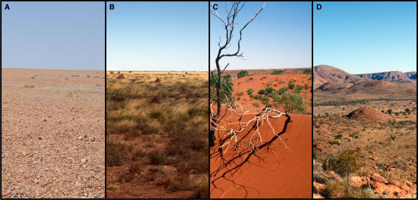 Land Systems of the Western Desert.