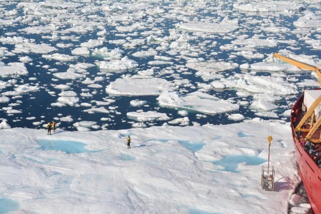 Scientists on Sea Ice