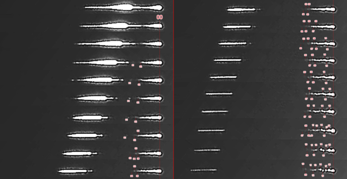 The fireball fragmenting, observed from Sesvete in Croatia.