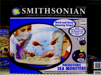 Advertisement for the Sale of Tadpole Shrimp