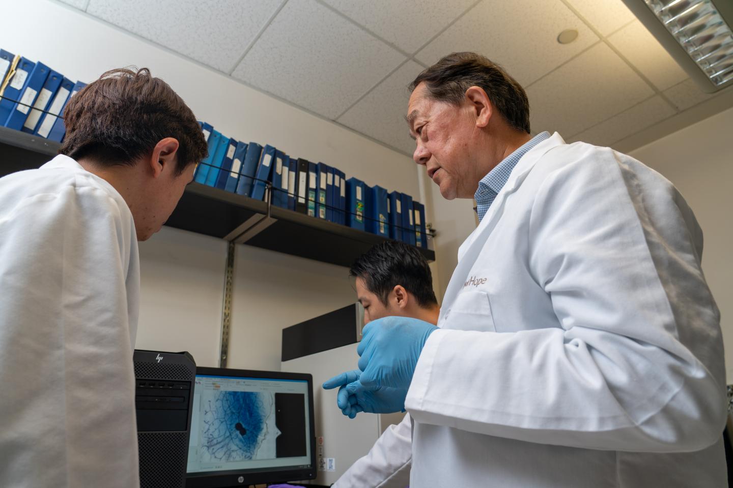 Shiuan Chen, Ph.D., working in lab