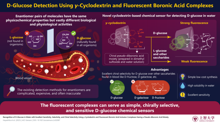 Novel fluorescent receptors show remarkable chiral selectivity for D-glucose in water at physiological pH