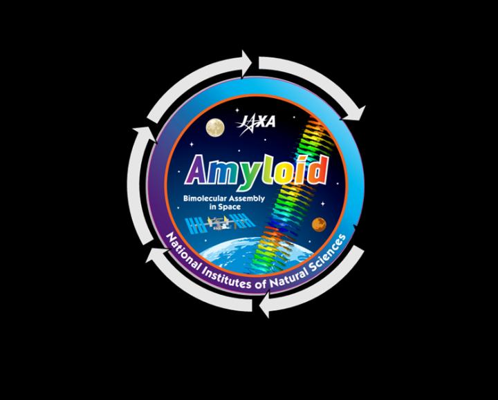 Outline of the "Amyloid" Project