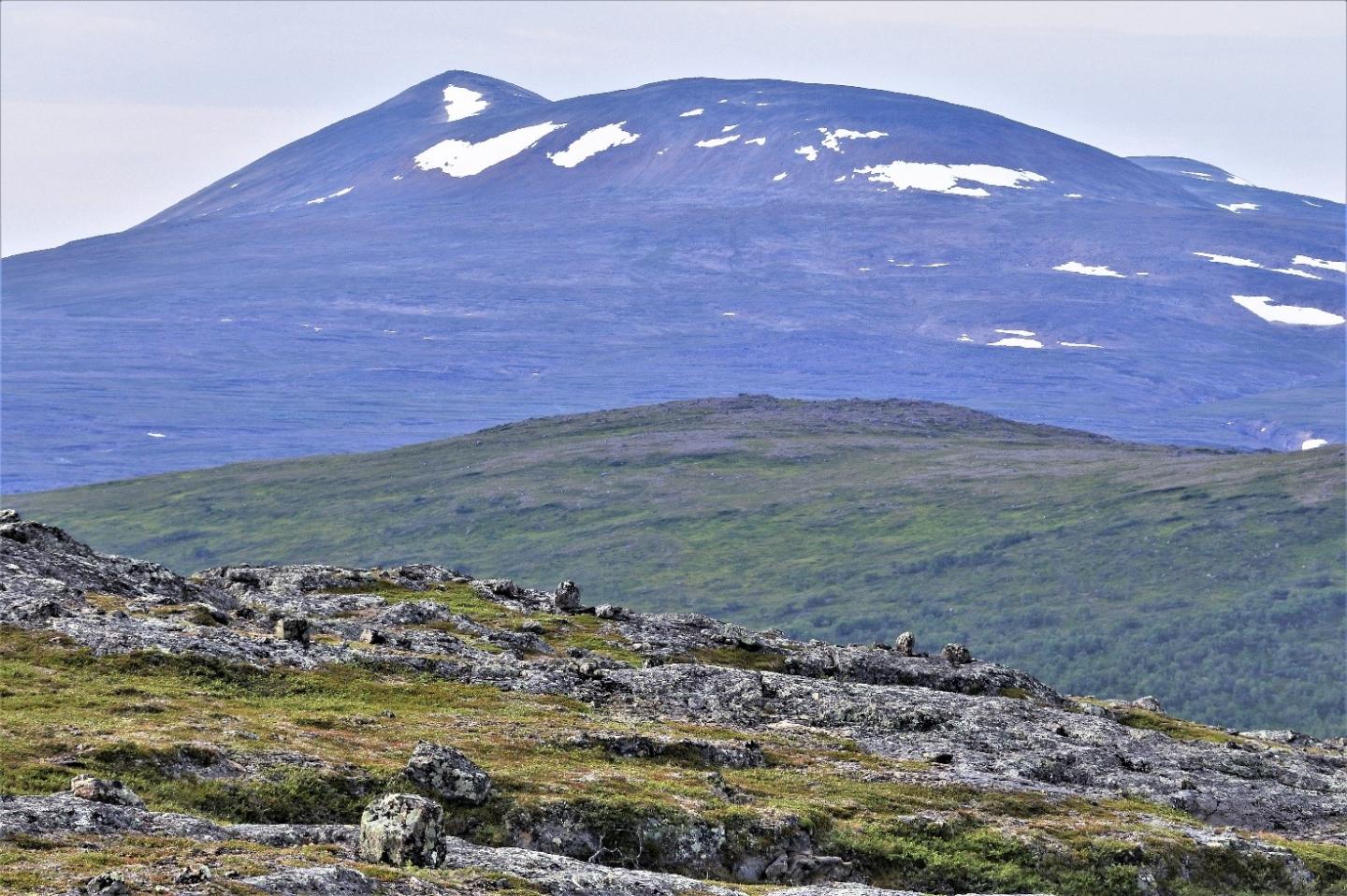 Fennoscandian Tundra