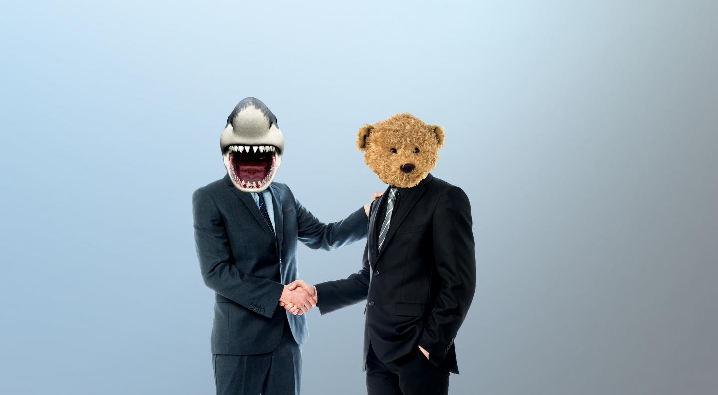 Shark and Teddy Bear CEOs