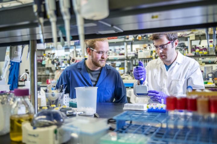 Synthesize DNA Sequences